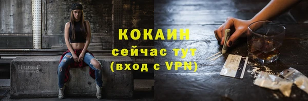 стафф Богданович