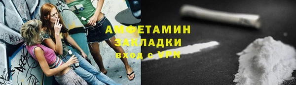стафф Богданович