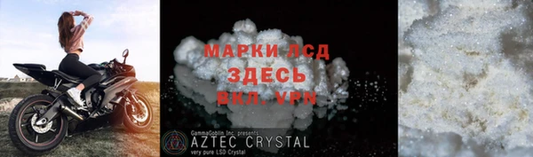 прущие грибы Струнино