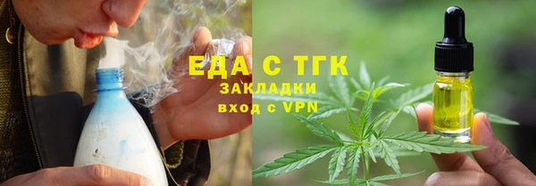 прущие грибы Тавда