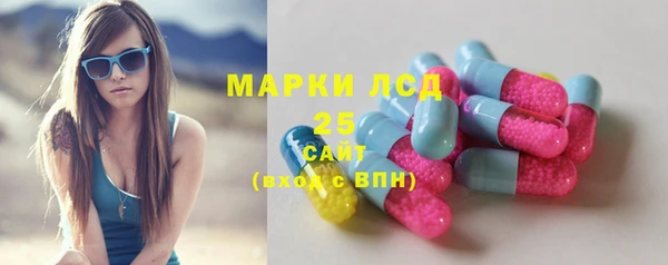 PSILOCYBIN Беломорск