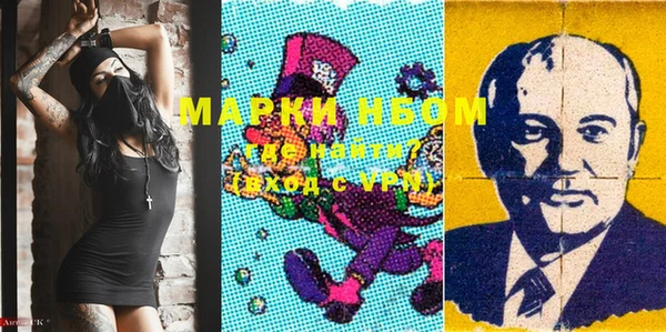 прущие грибы Тавда