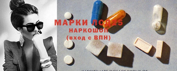 PSILOCYBIN Беломорск