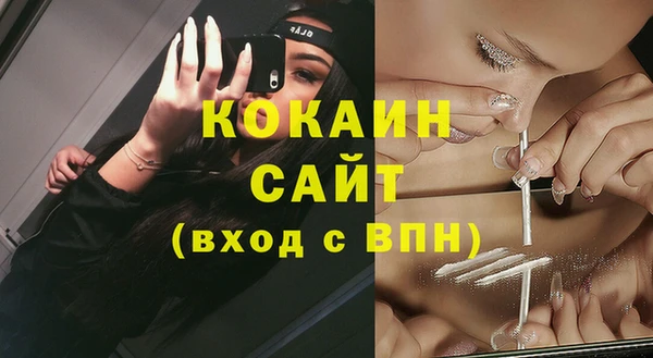стафф Богданович