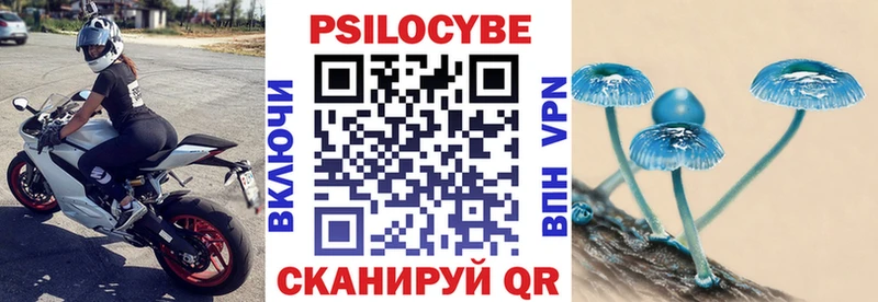 как найти   Медынь  Псилоцибиновые грибы мицелий 